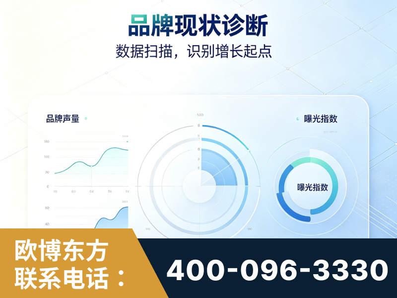 乐平-品牌现状诊断