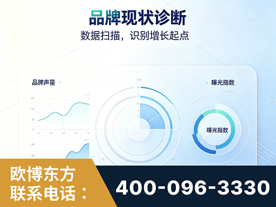 乐平-品牌现状诊断