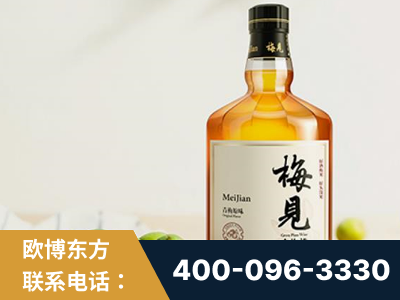 乐平-梅见青梅酒
